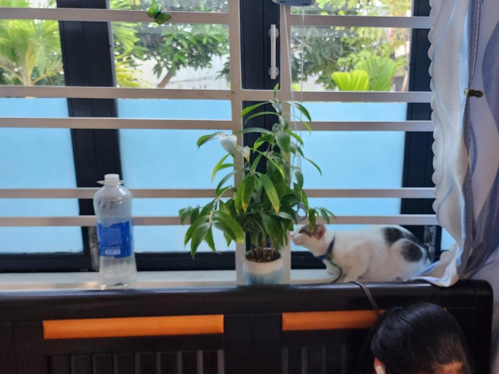 Sena home 3*1*Overlooking Danang Dragon bridge