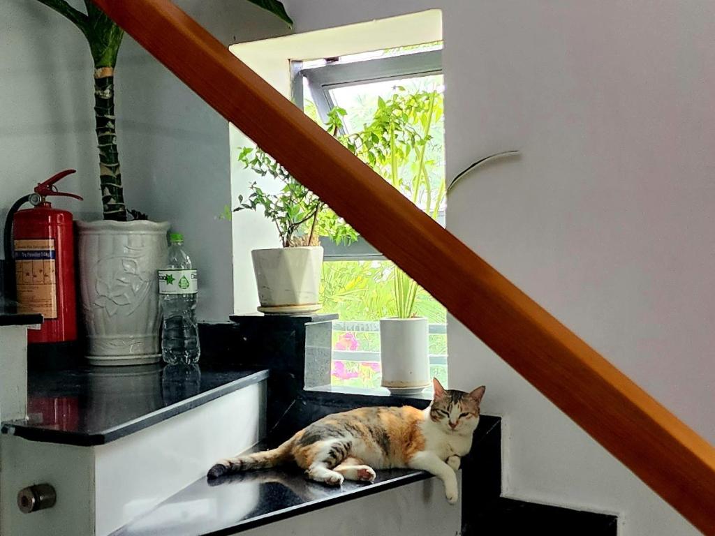 Sena home 3*1*Overlooking Danang Dragon bridge