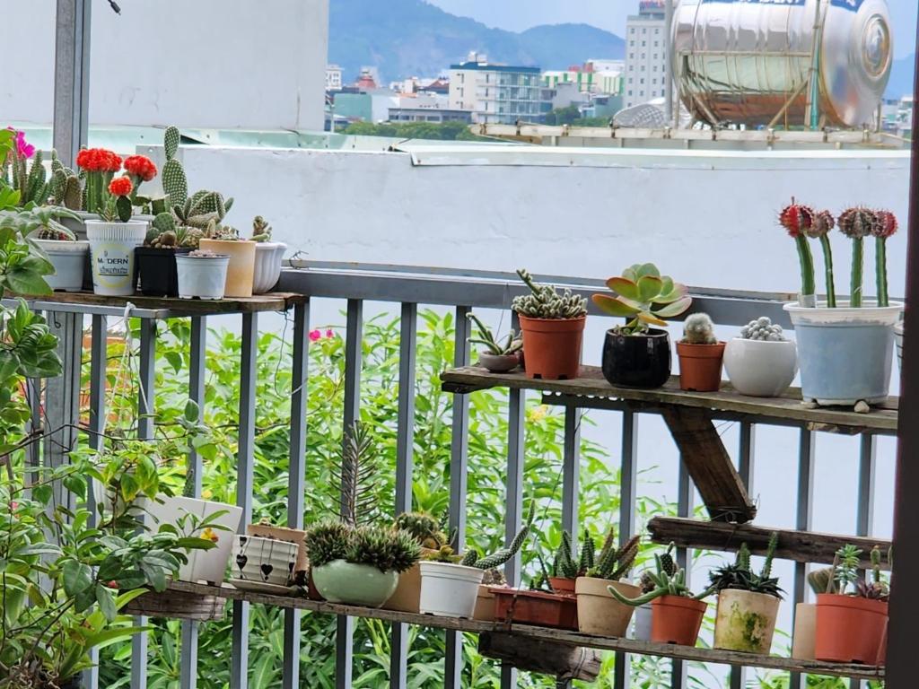 Sena home 3*1*Overlooking Danang Dragon bridge