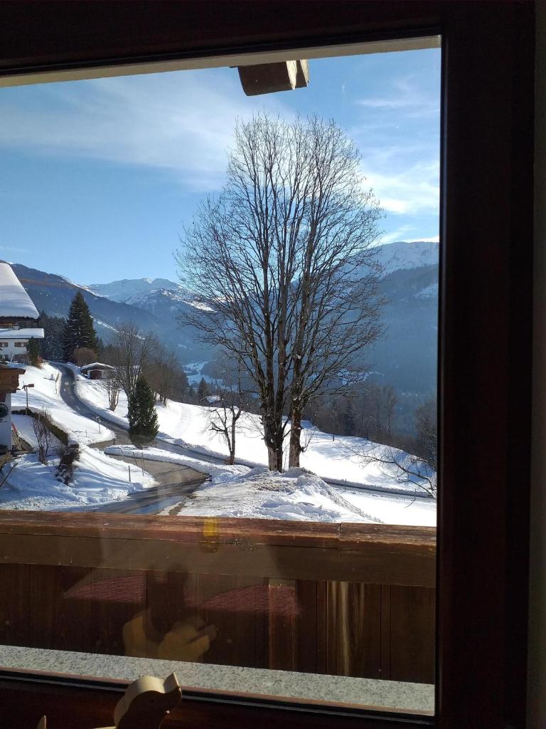 Schwendter-Hof photo 2