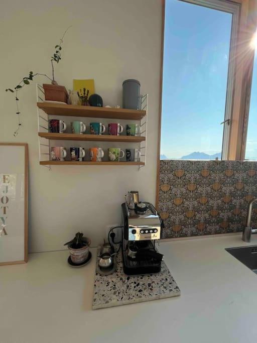 House in Lofoten, beautiful view/ Hus i Lofoten photo 1