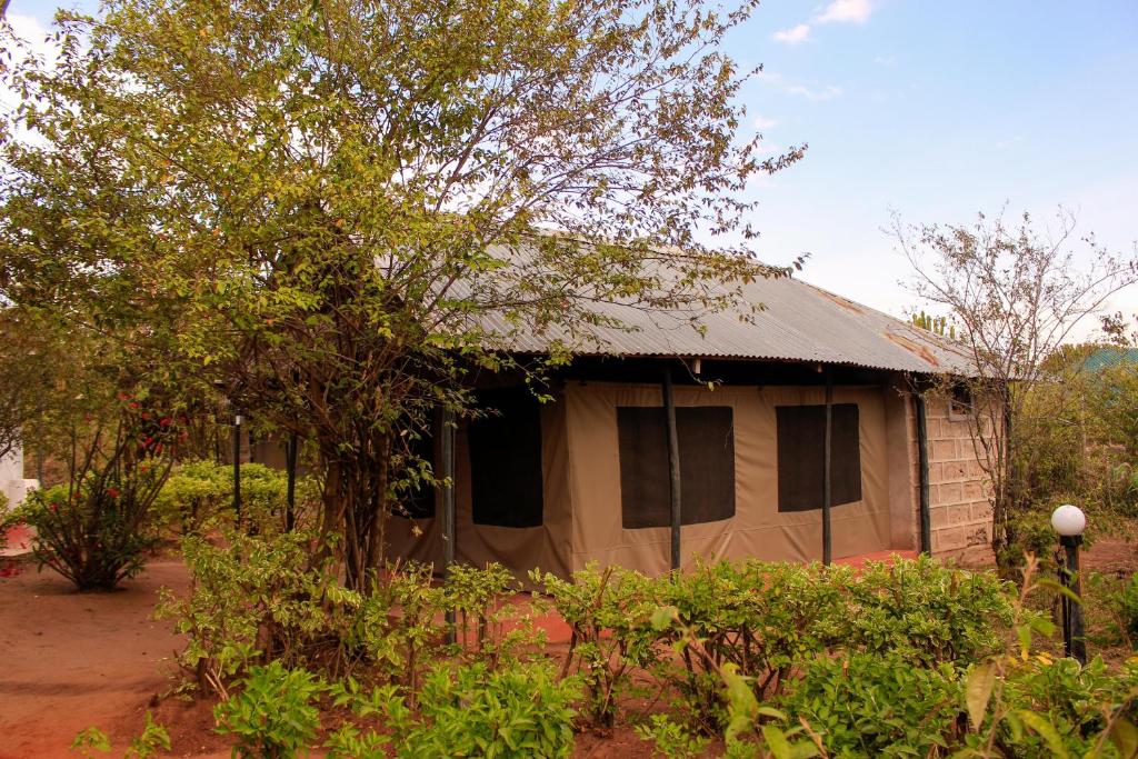 Eco mara forest camp