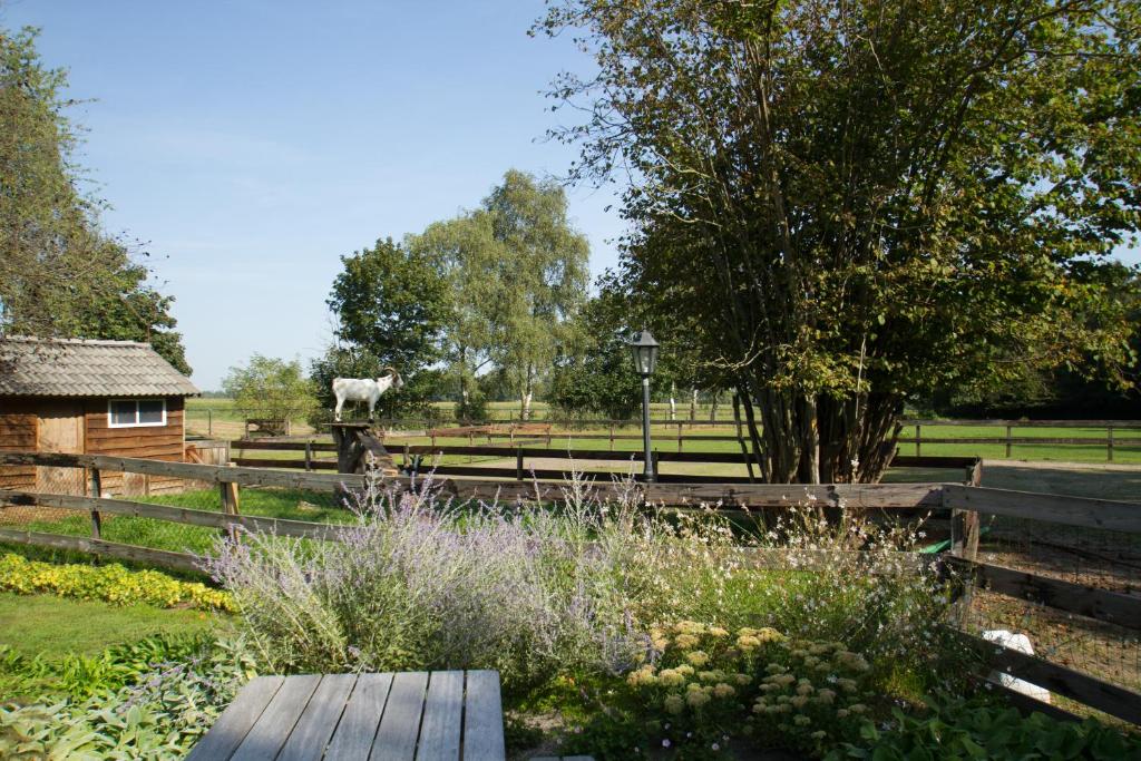 Het Rooversnest photo 3