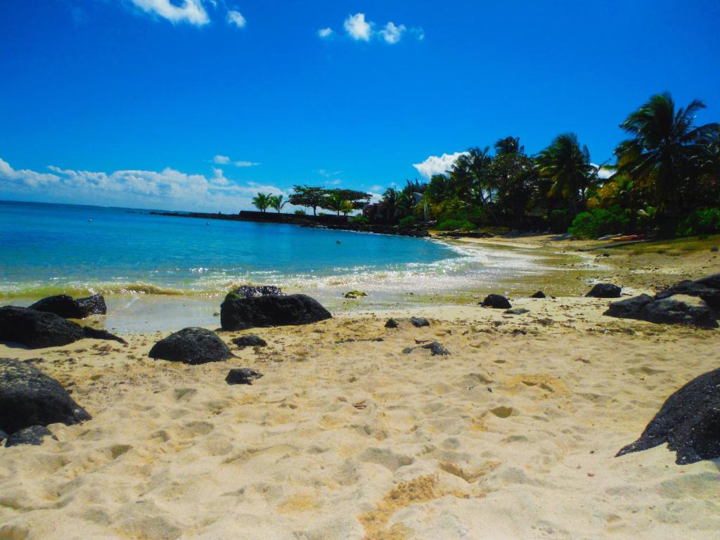 Coral Park Appt D1