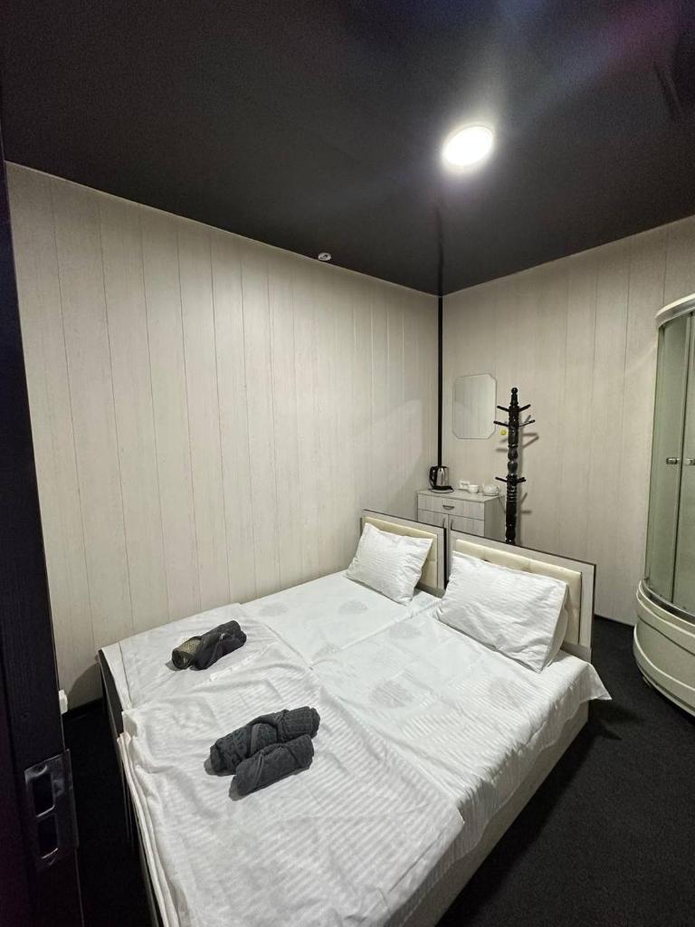 Hostel24/77