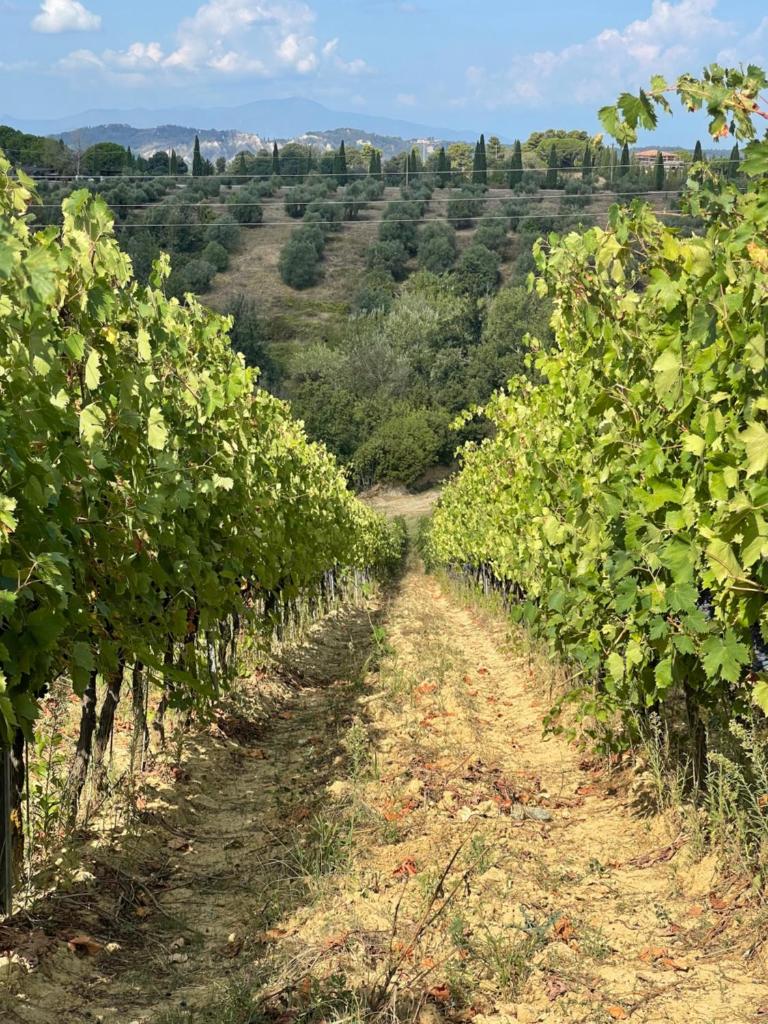 Castellare Di Tonda Tuscany Country Resort & Spa photo 4