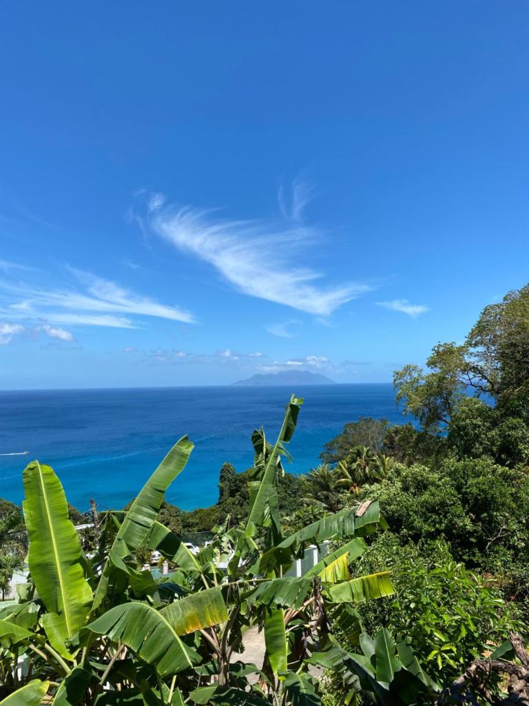Reve Blêu photo 2