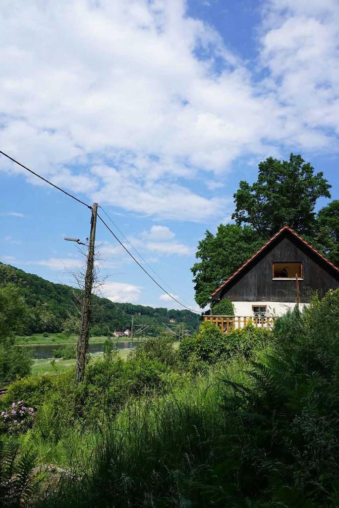 Ferienwohnung im grünen Elbtal photo 2