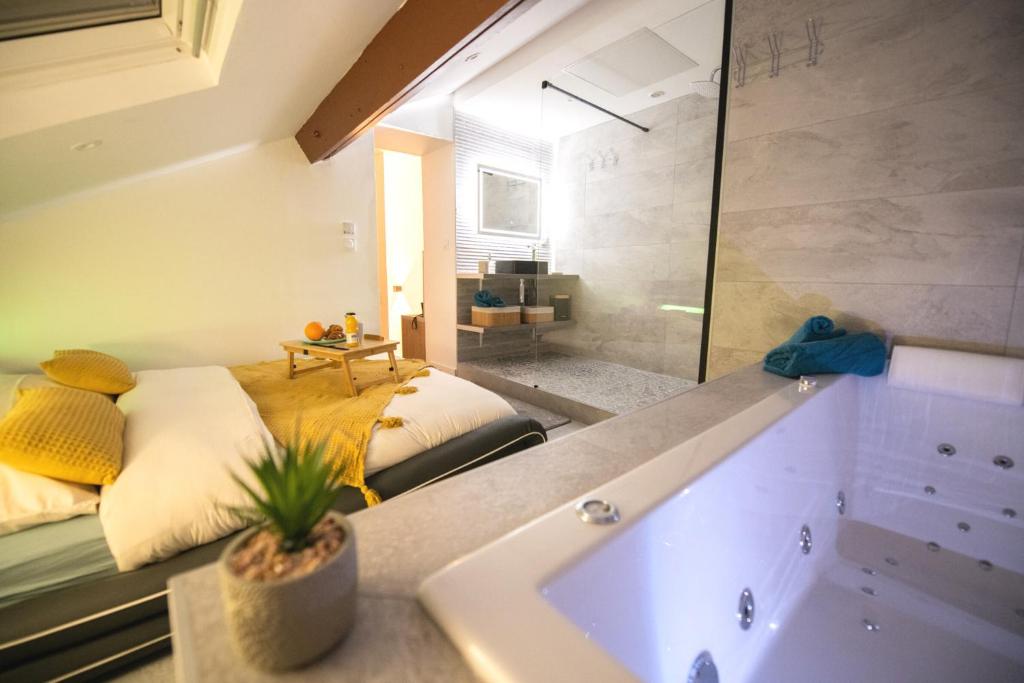 Lova Spa Saint-Etienne, Loire