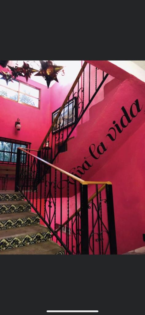 La Casita De Frida photo 4