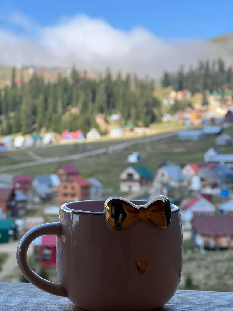 Chalet Bakhmaro photo 2