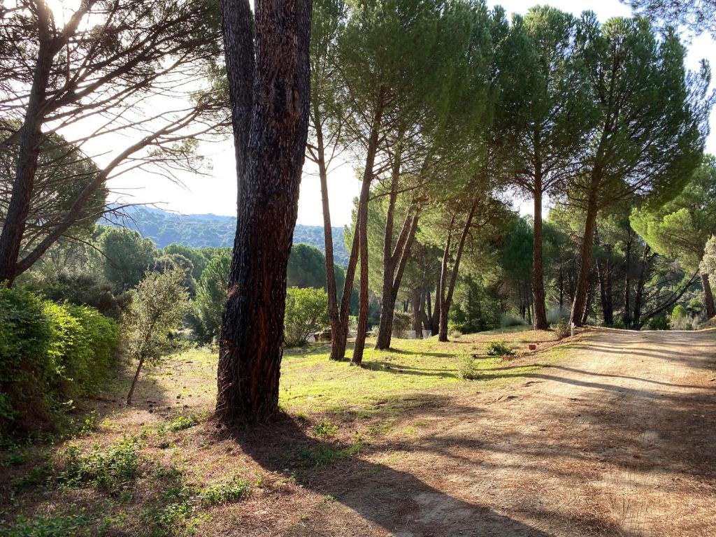 Casa Valdesanmartin - Country House, 10500sqm, Pool, Paddel & Bbq photo 4