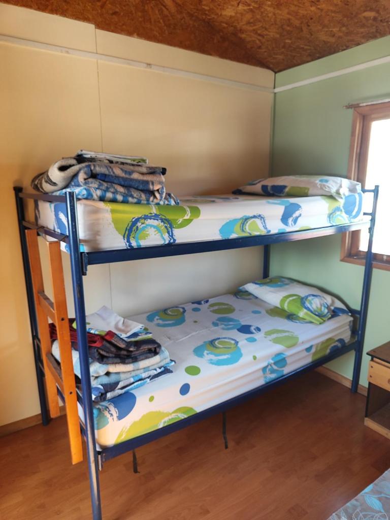 Alma Patagona Hostel photo 3