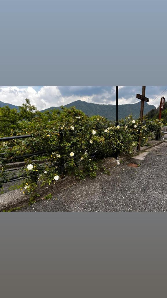 Anna Appartamento Vacanze photo 1