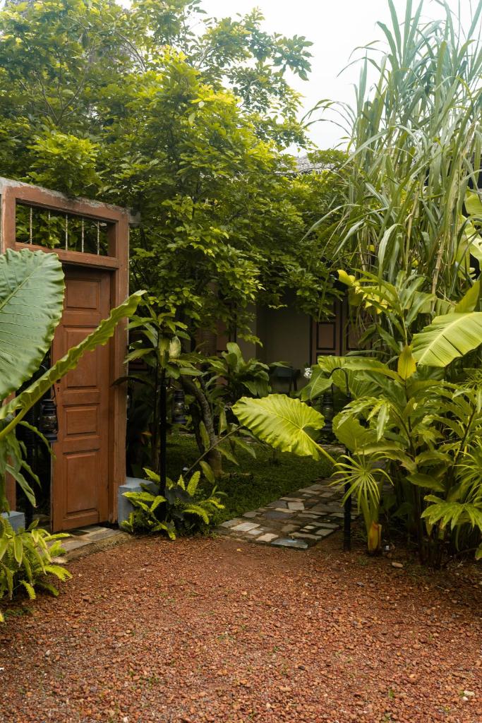 Banana Bunks Mirissa photo 1