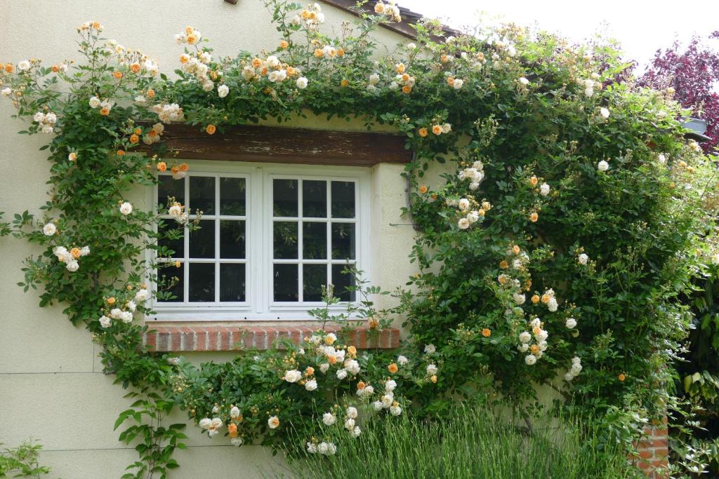 Le Clos des Perraudières photo 4