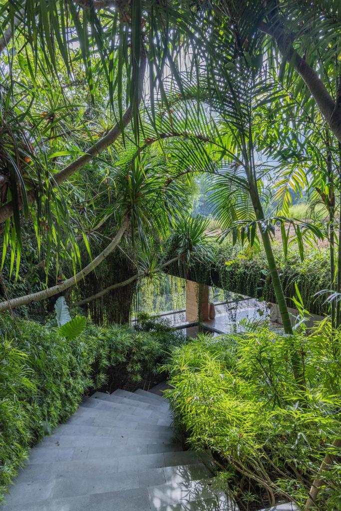 Chameleon Villa Bali photo 1