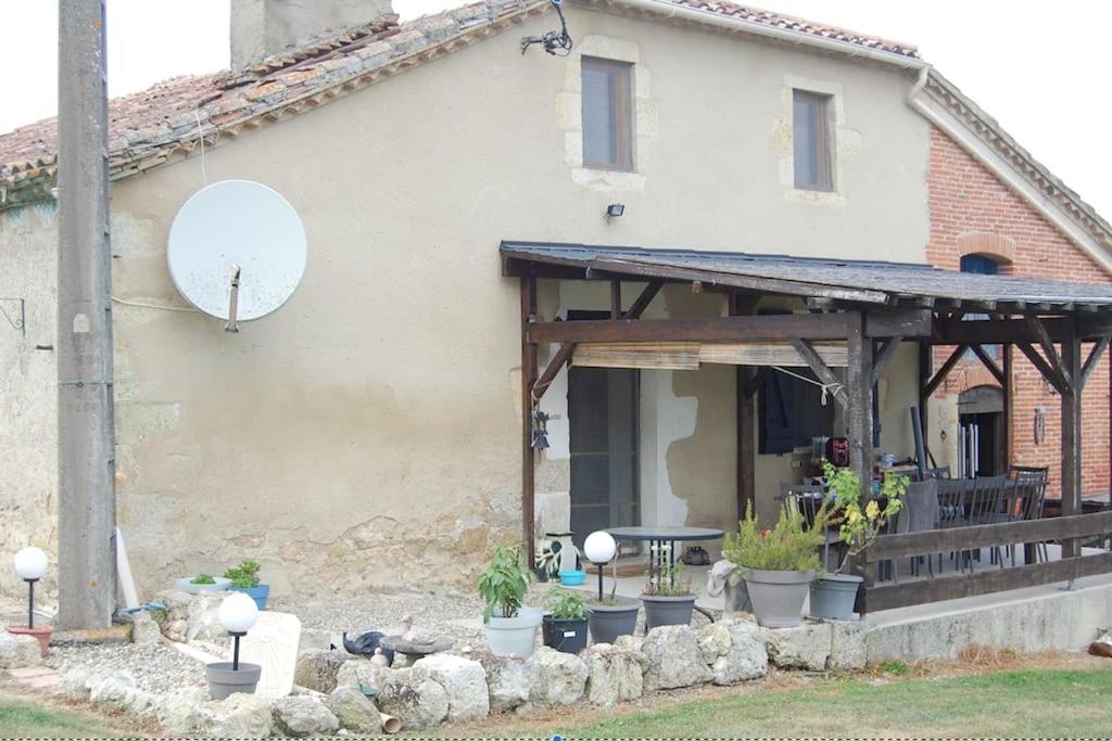The Blue Cat Studio