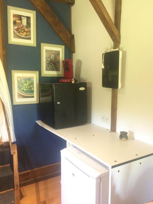 The Blue Cat Studio photo 3