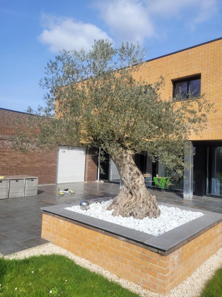 chambres d 'hôtes dans une villa de luxe photo 1