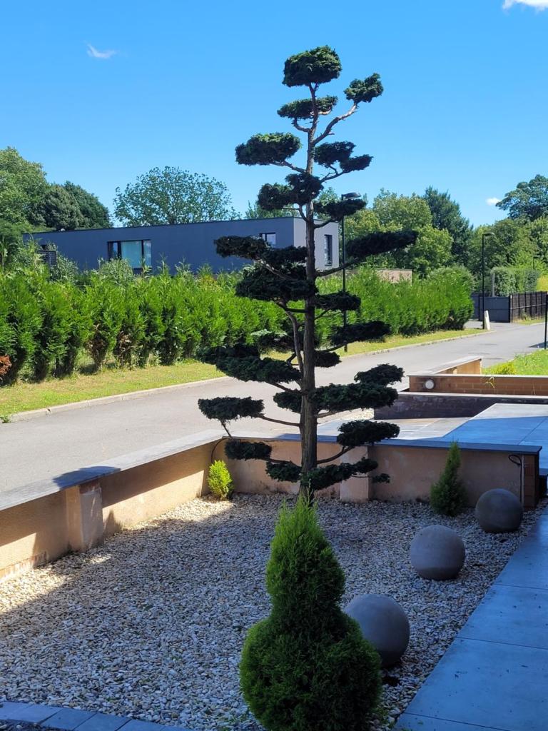 chambres d 'hôtes dans une villa de luxe photo 3