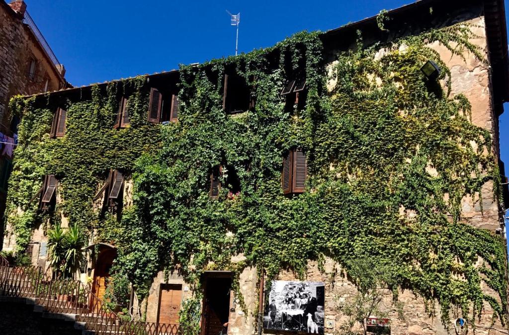 La Piazzetta Toscana B&B photo 1