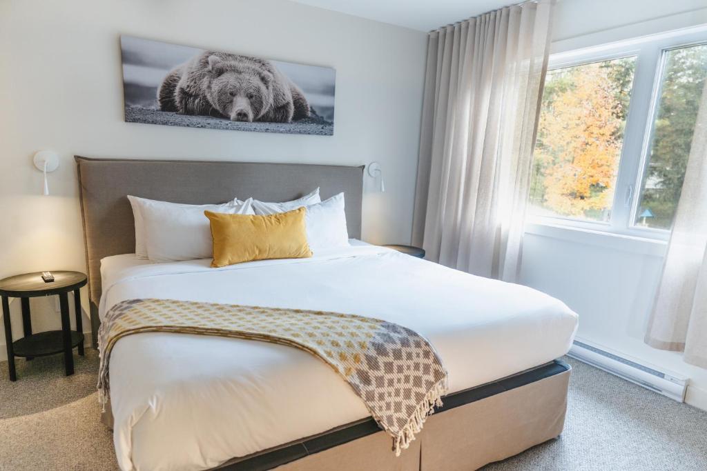 Suites du Lac Moore photo 3