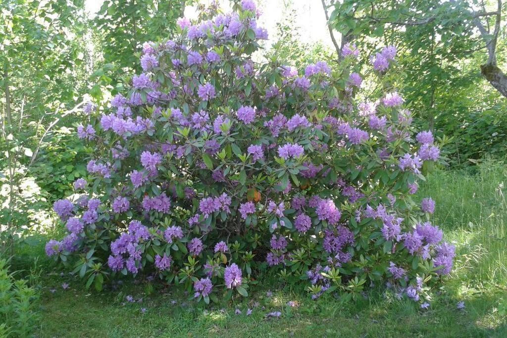 Hus uthyres i natursköna Glava, Arvika photo 4