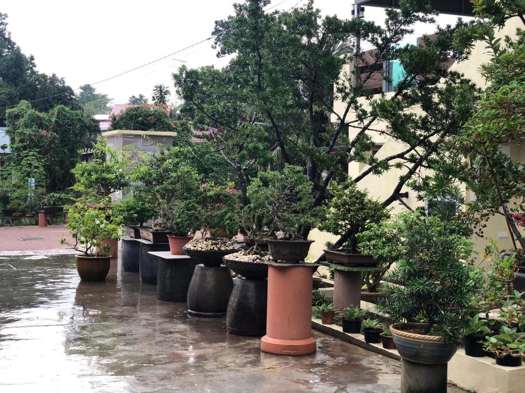 Bonsai Homestay Kluang - B17 photo 1