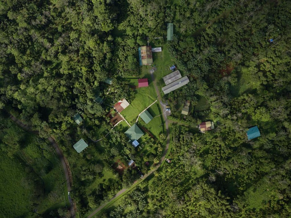 Finca Amistad Cacao Lodge photo 4
