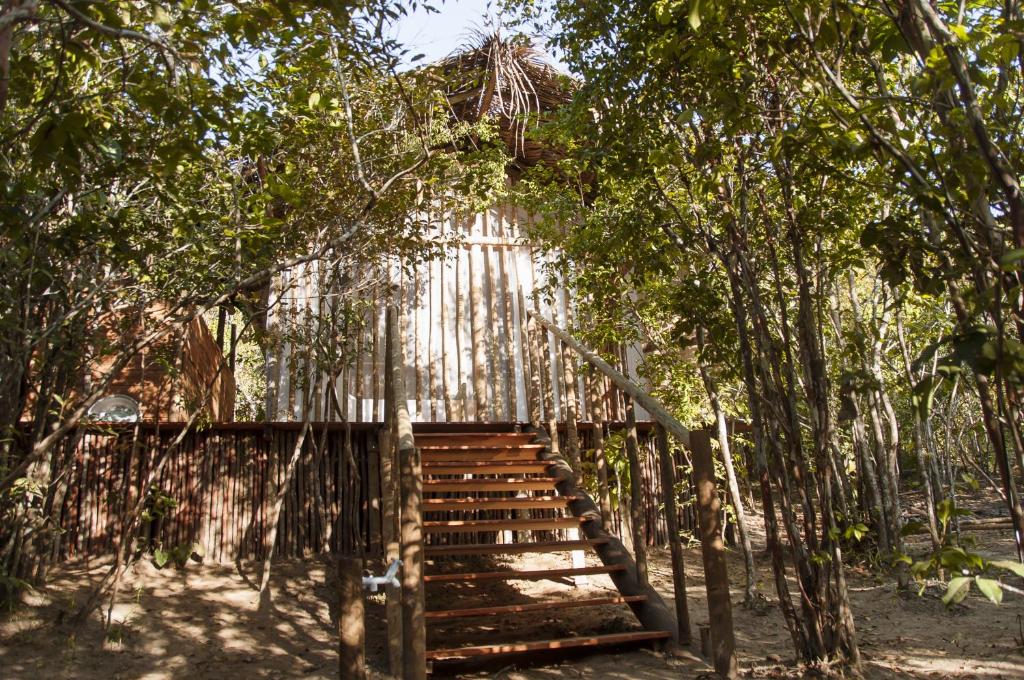 Na Floresta Glamping photo 3