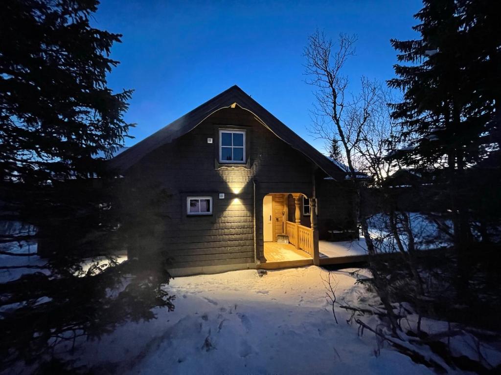 Mountain Holiday Homes - Ottsjö, Trillevallen -Sweden photo 4