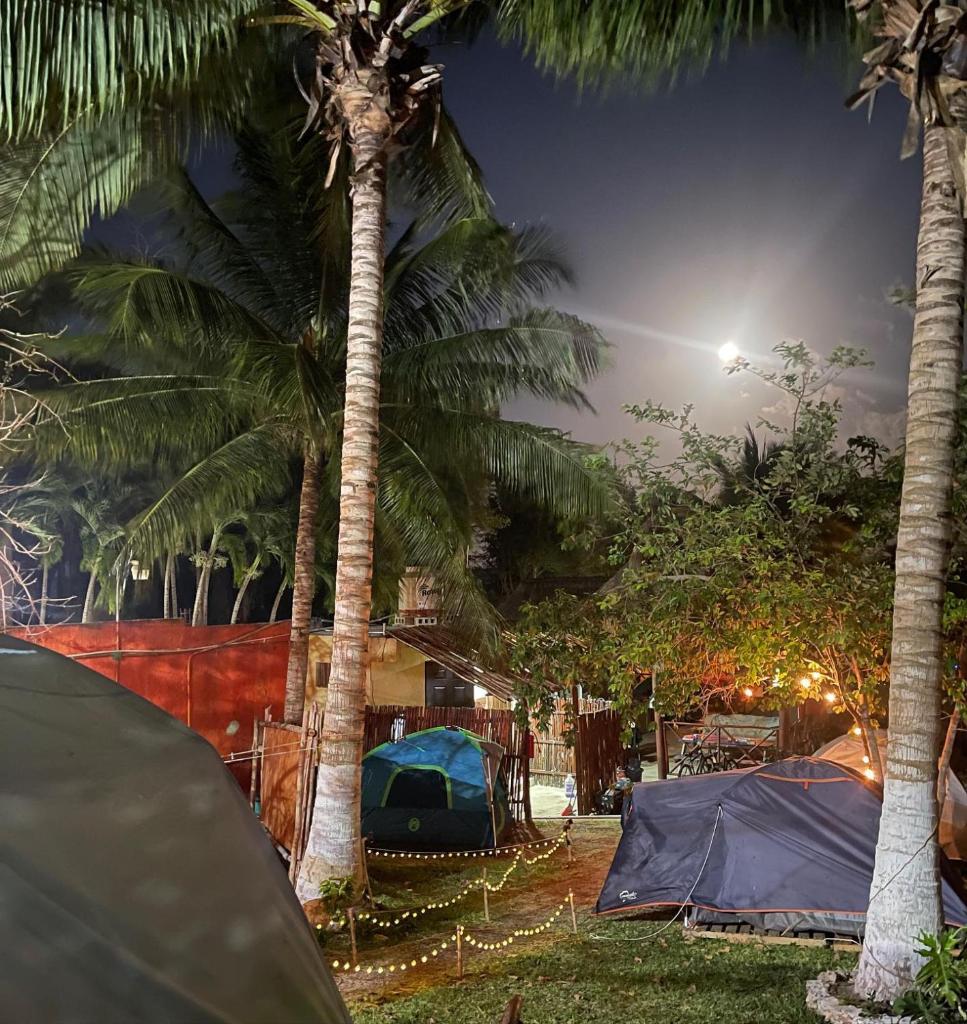 Hostelito Camping Bacalar photo 2