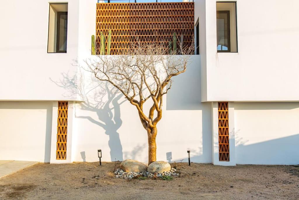 Casa DelToro photo 3