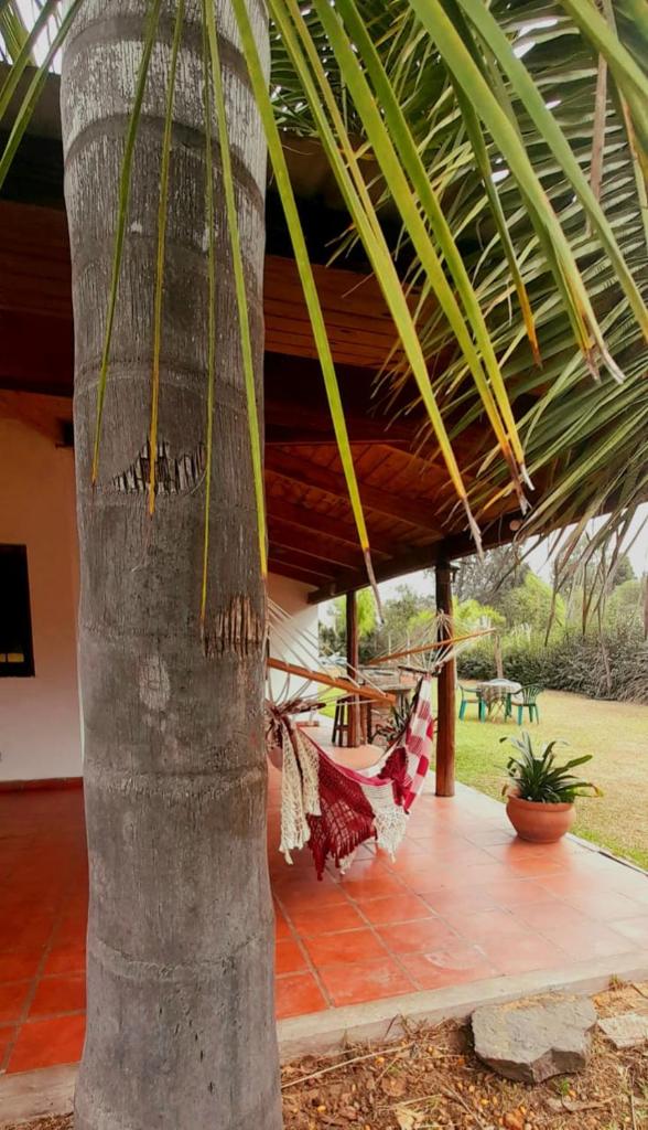 Lugar clave photo 4