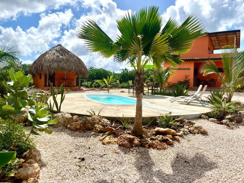 Tropical Cabins Curaçao photo 1