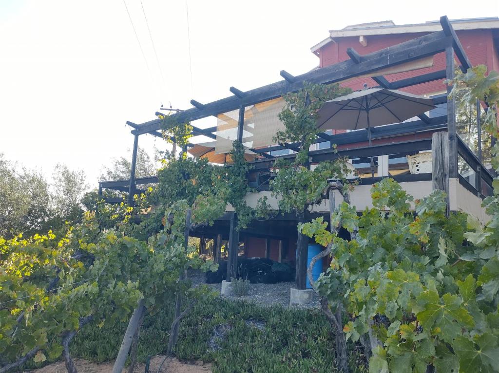 Rancho los Amigos Cabin Lodge photo 4