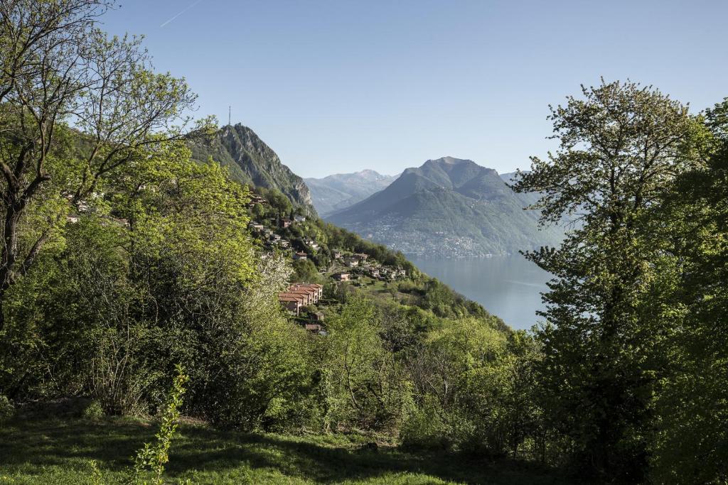 Casa Calina photo 4