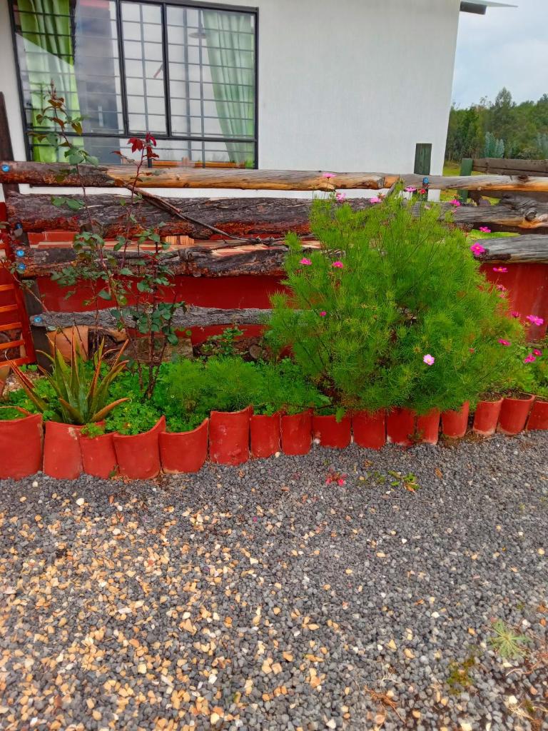 Finca La Milagrosa photo 2