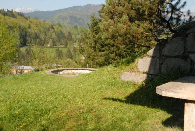 Waldhofalm Angerer photo 3