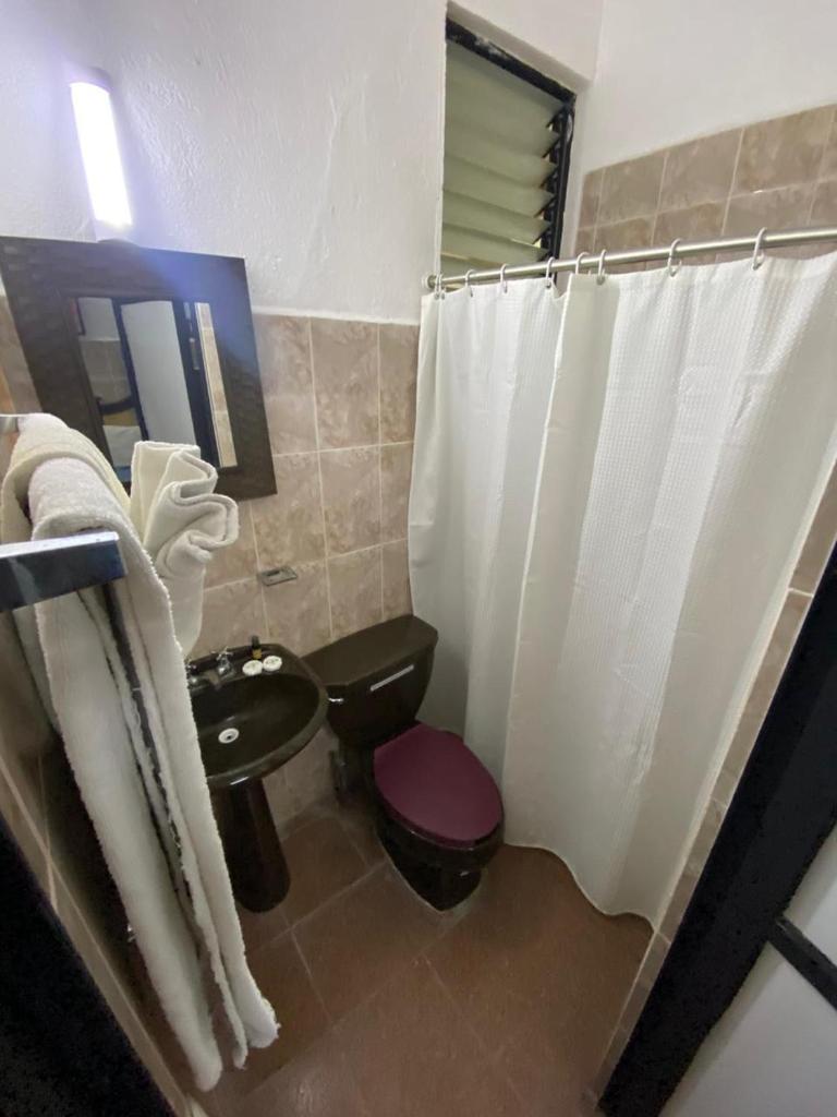Hotel del Sol photo 1