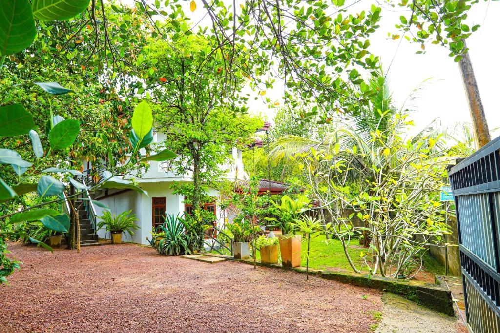 Dil's Place photo 3