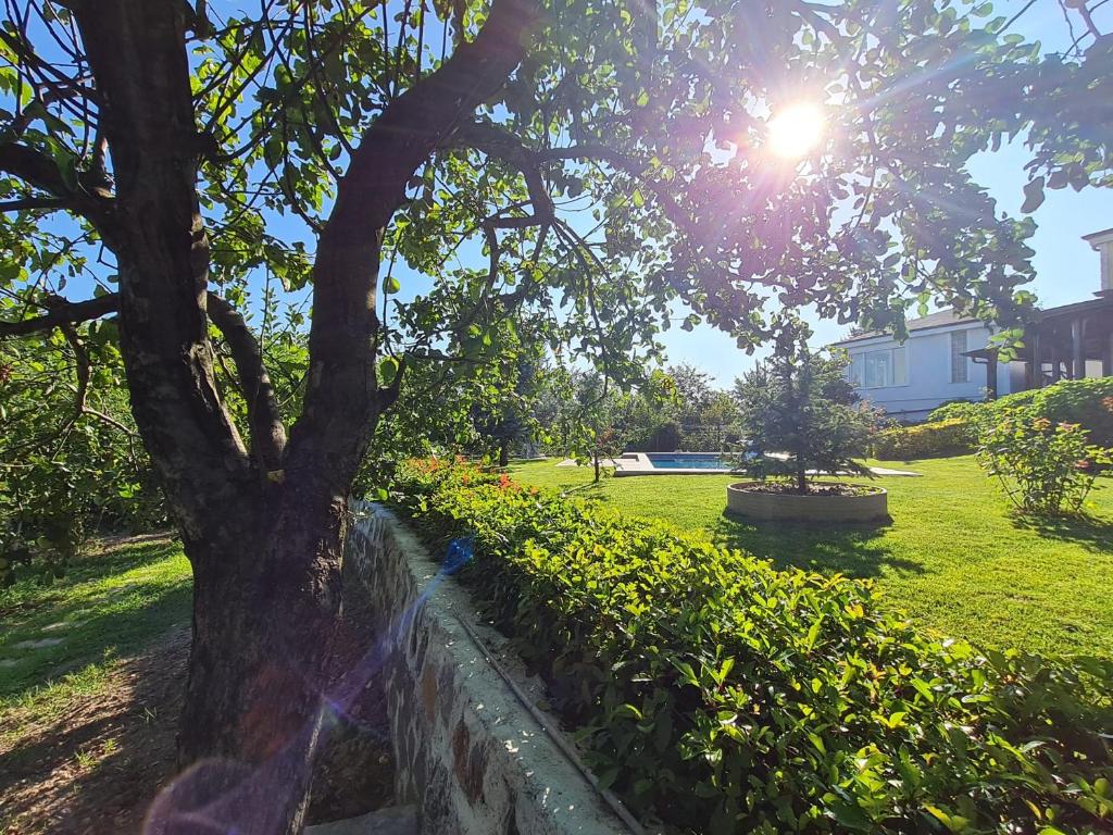Bizim Ev photo 2