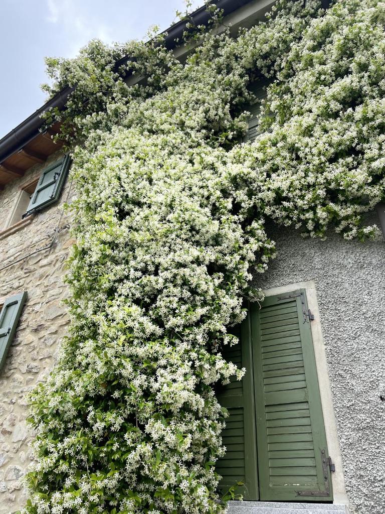 Alloggio con camino nel borgo del castello photo 1