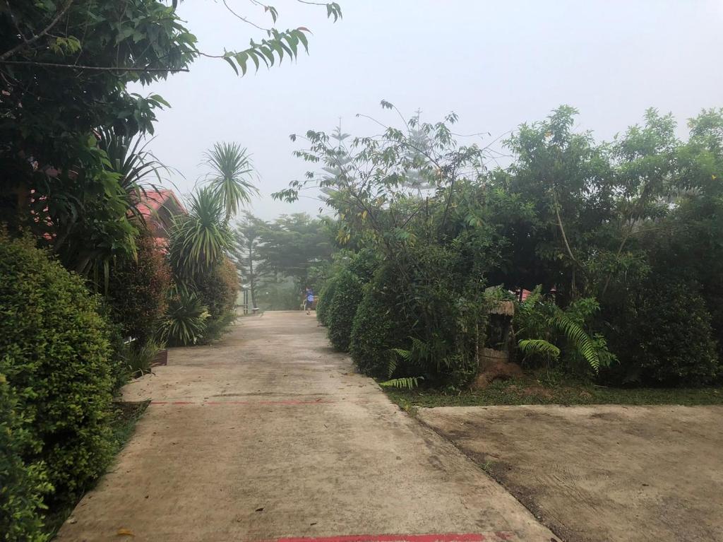 Tonkaew Khaokao Resort photo 3