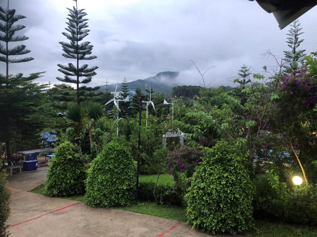 Tonkaew Khaokao Resort photo 4