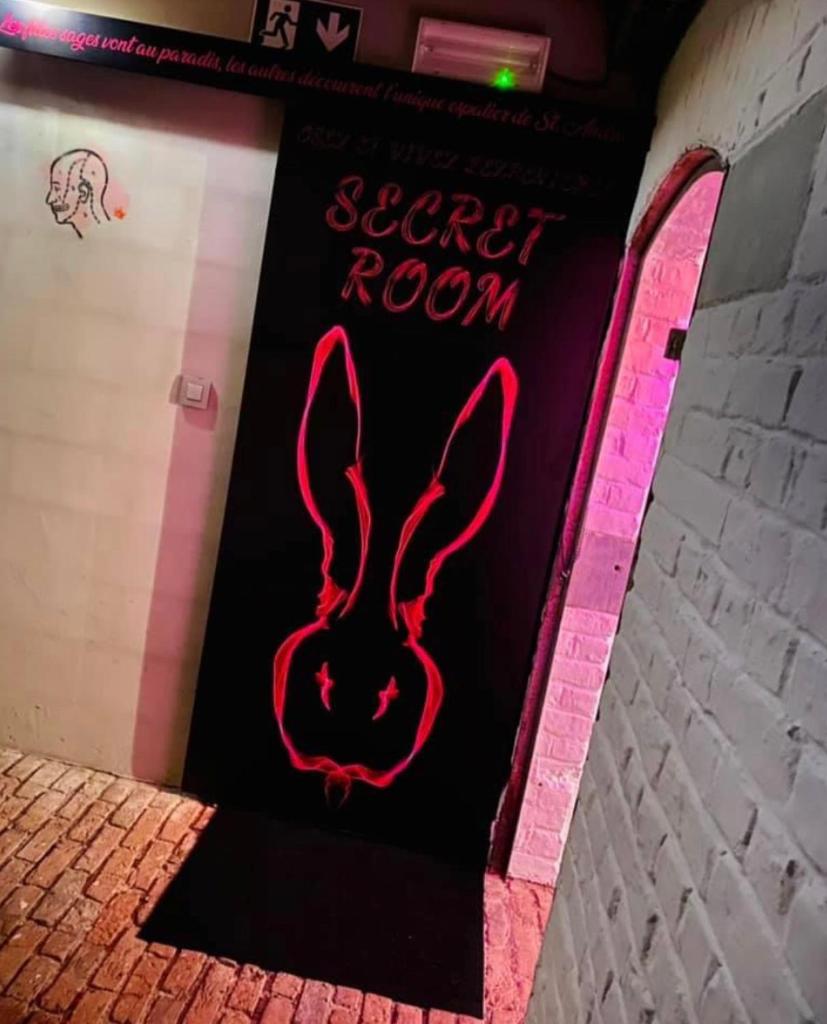 Secret Room votre chambre coquine et insolite en espace privatif a Tournai photo 3