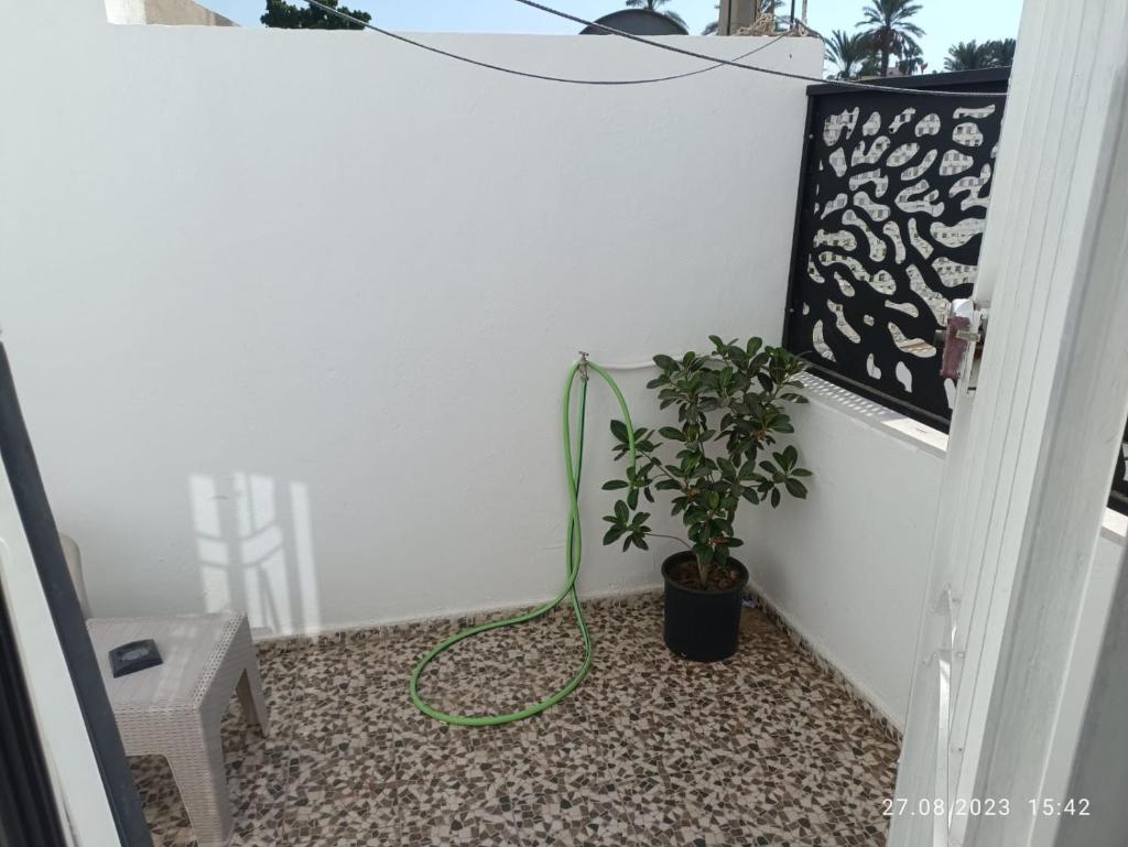 FUFA Haute standing appartment S2 center Monastir photo 4