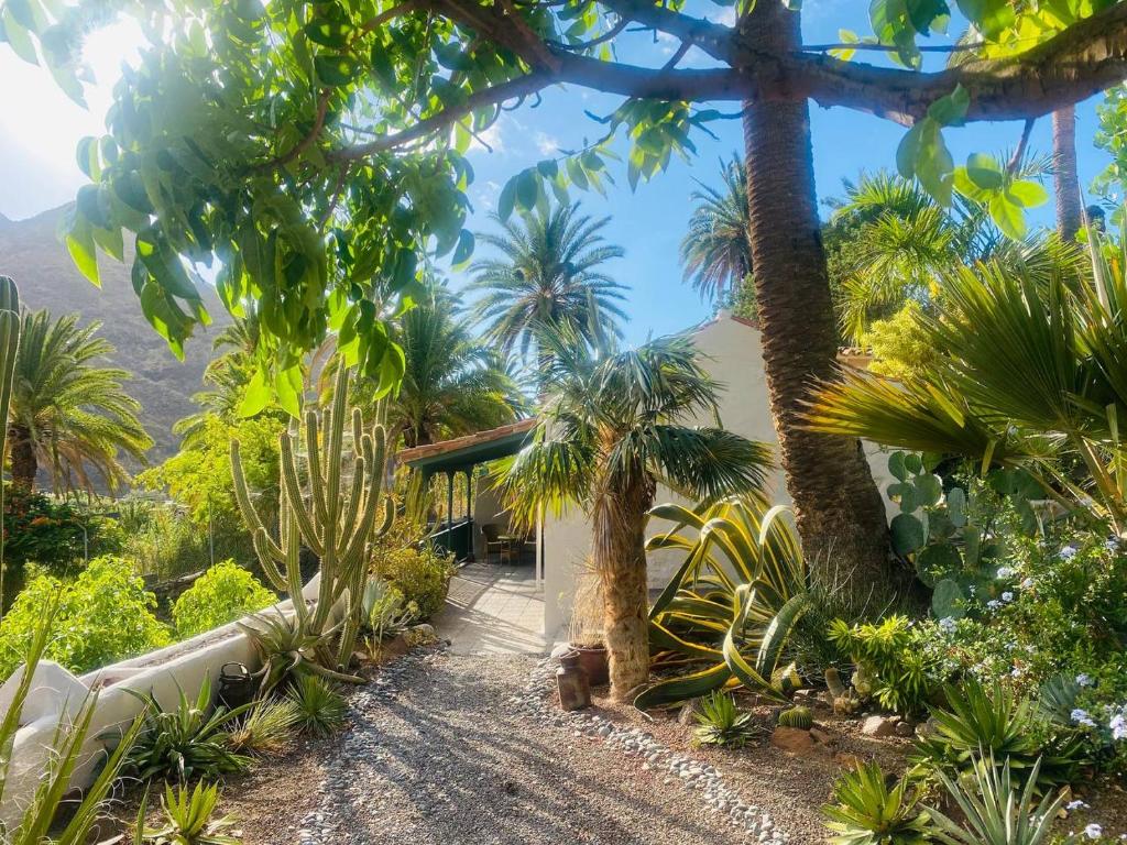 Finca Origen · Casa Trinidad · Rural· Unique photo 1