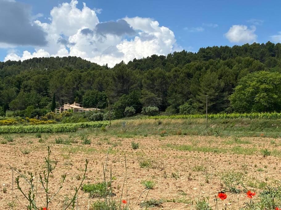 Jolie maison avec vue imprenable, piscine, jeu de boules, calme au cœur du Luberon photo 1